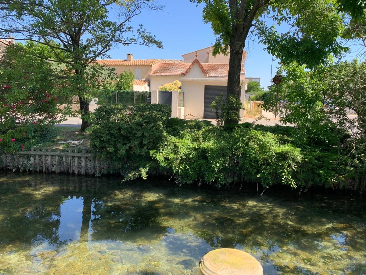 Petite Maison Pres Du Centre LʼIsle-sur-la-Sorgue Exteriör bild