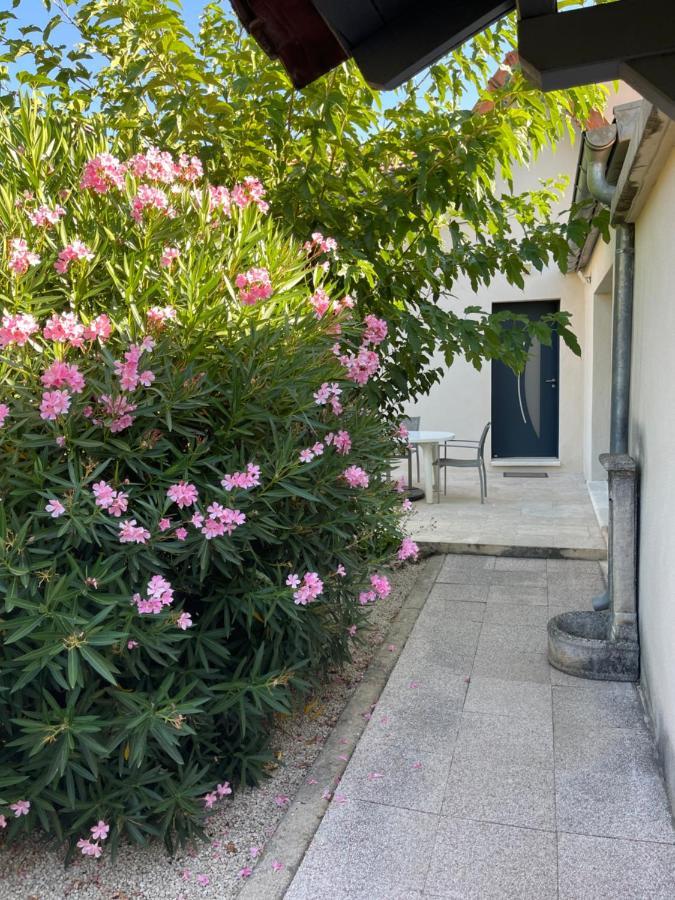 Petite Maison Pres Du Centre LʼIsle-sur-la-Sorgue Exteriör bild